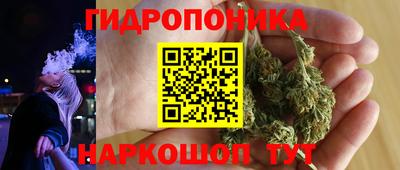 apvp Тверь