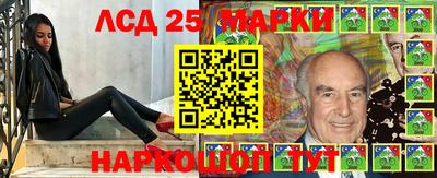 apvp Тверь