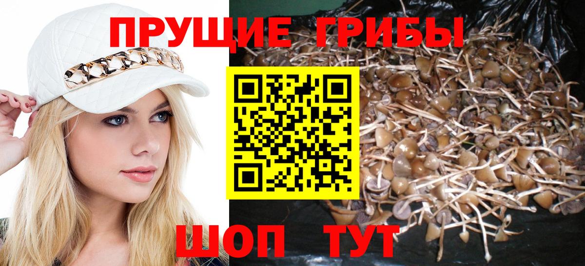 Боровичи  Псилоцибиновые грибы GOLDEN TEACHER  Вход с VPN 