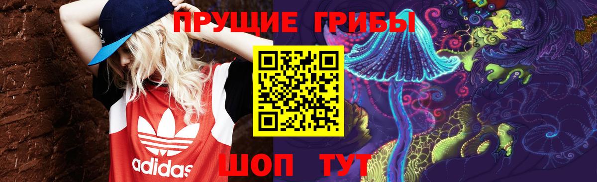 Псилоцибиновые грибы мицелий Боровичи